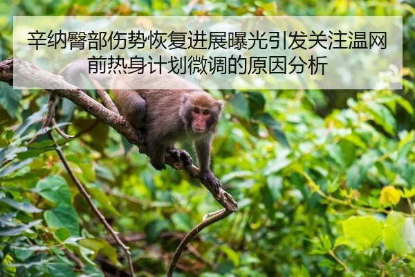 辛纳臀部伤势恢复进展曝光引发关注温网前热身计划微调的原因分析
