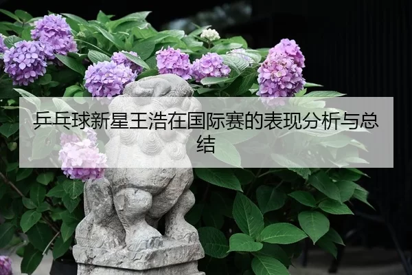 乒乓球新星王浩在国际赛的表现分析与总结