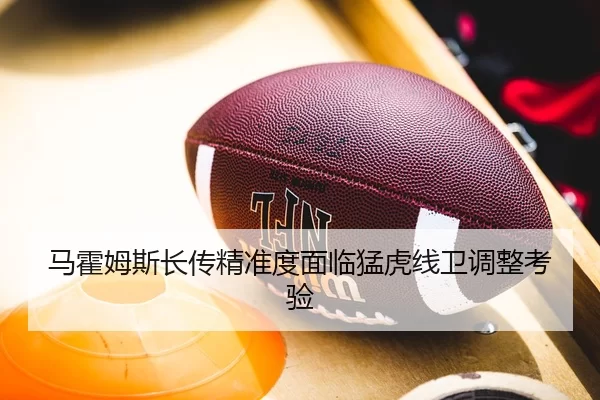马霍姆斯长传精准度面临猛虎线卫调整考验