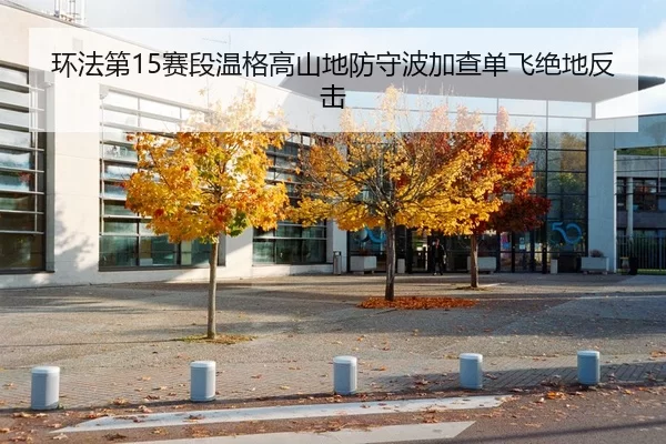 环法第15赛段温格高山地防守波加查单飞绝地反击