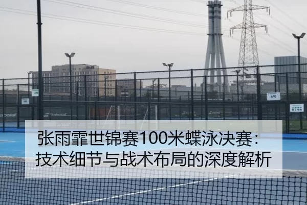 张雨霏世锦赛100米蝶泳决赛：技术细节与战术布局的深度解析
